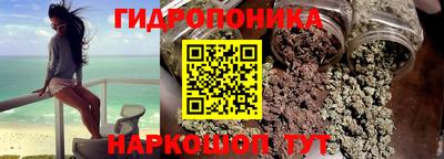 крисы Ставрополь