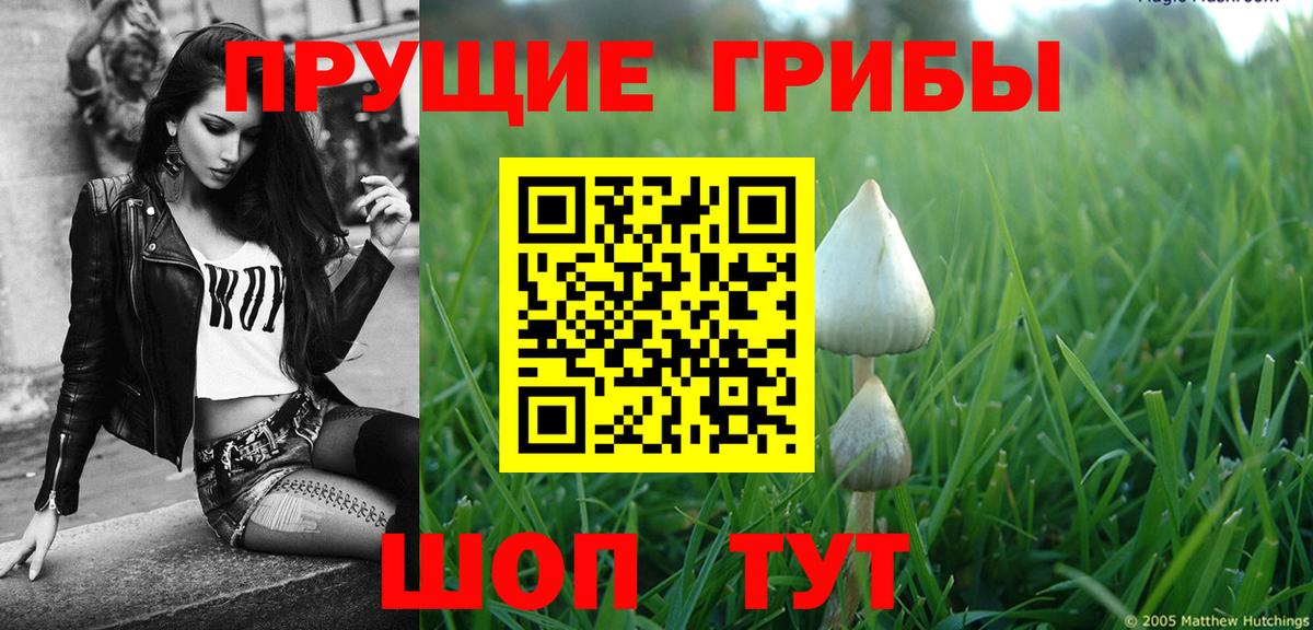 Псилоцибиновые грибы прущие грибы Нарткала
